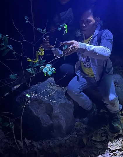 Benny Herping - Eksplorasi alam Flores