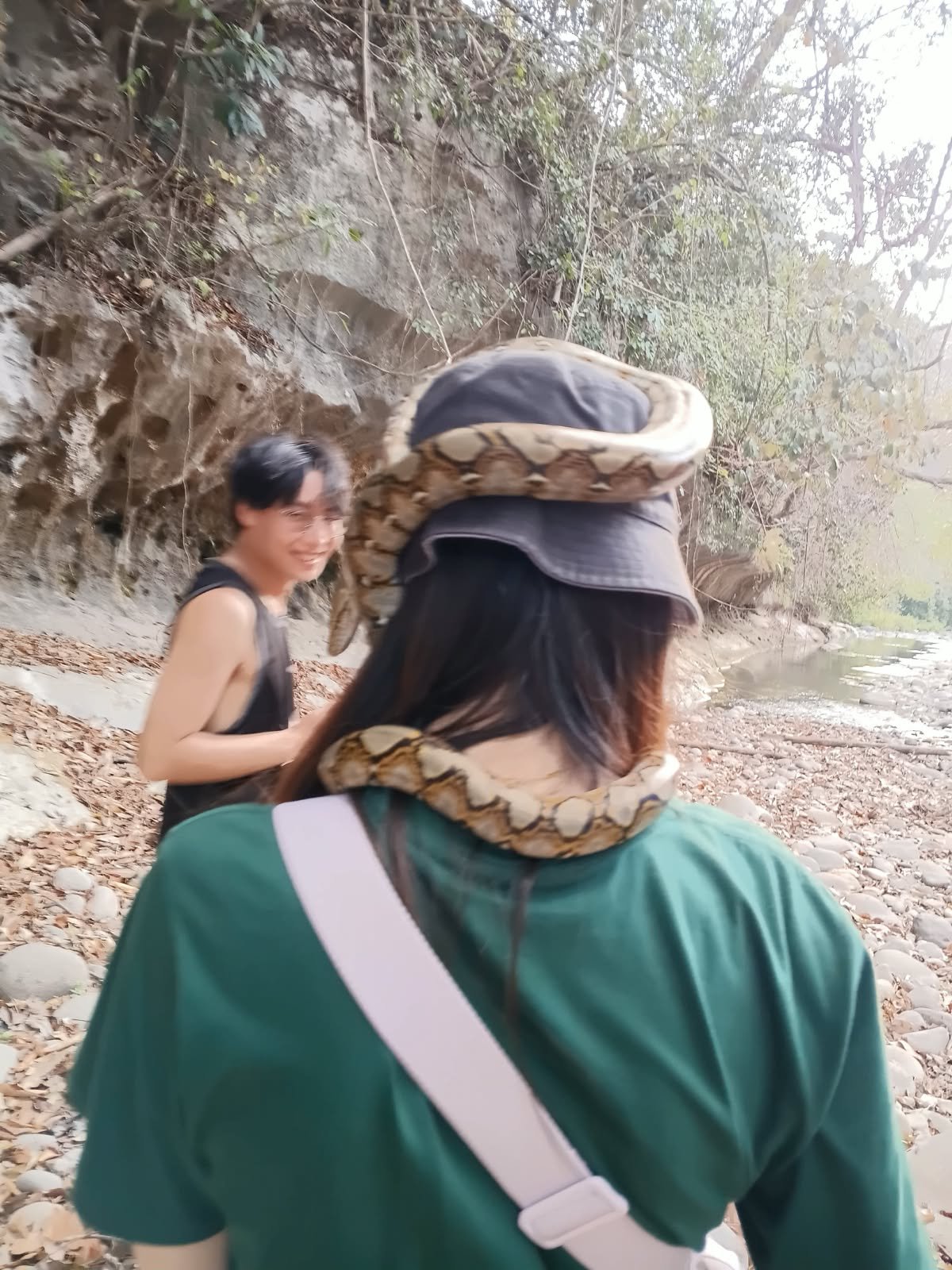 A Day of Herping Adventure in Flores