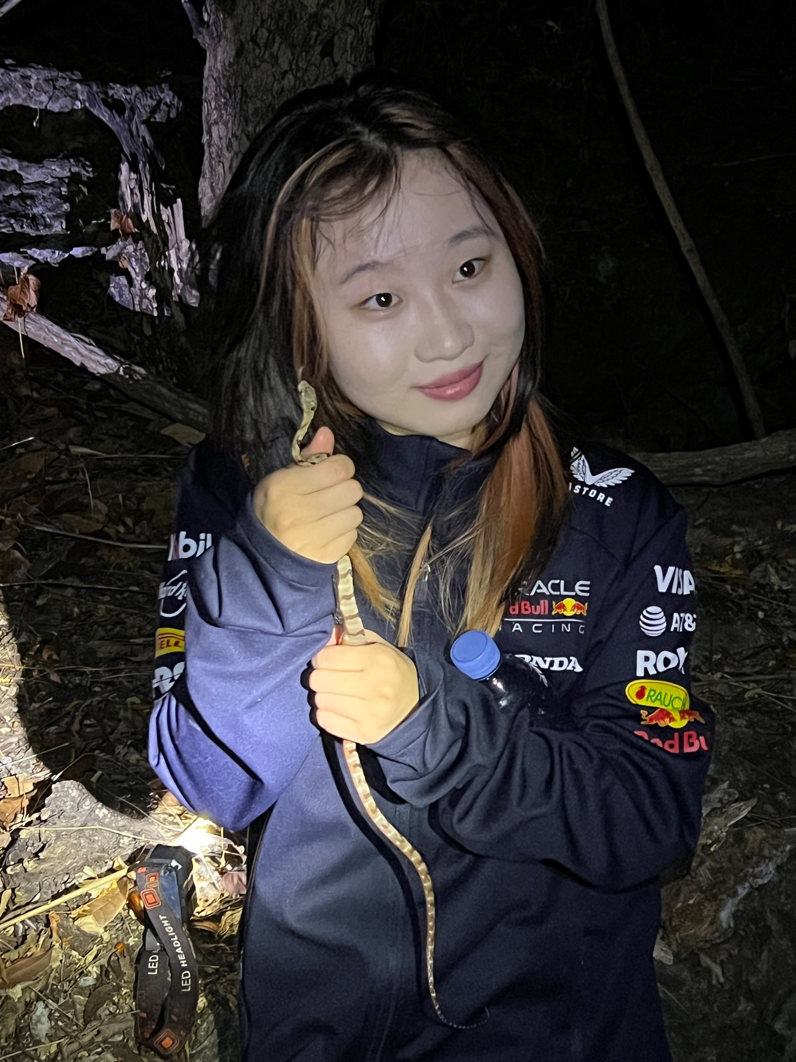 A Day of Herping Adventure in Flores